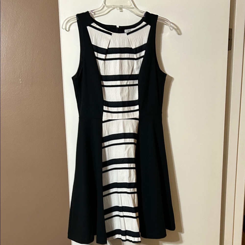 Elle Black and White Striped Mini Dress